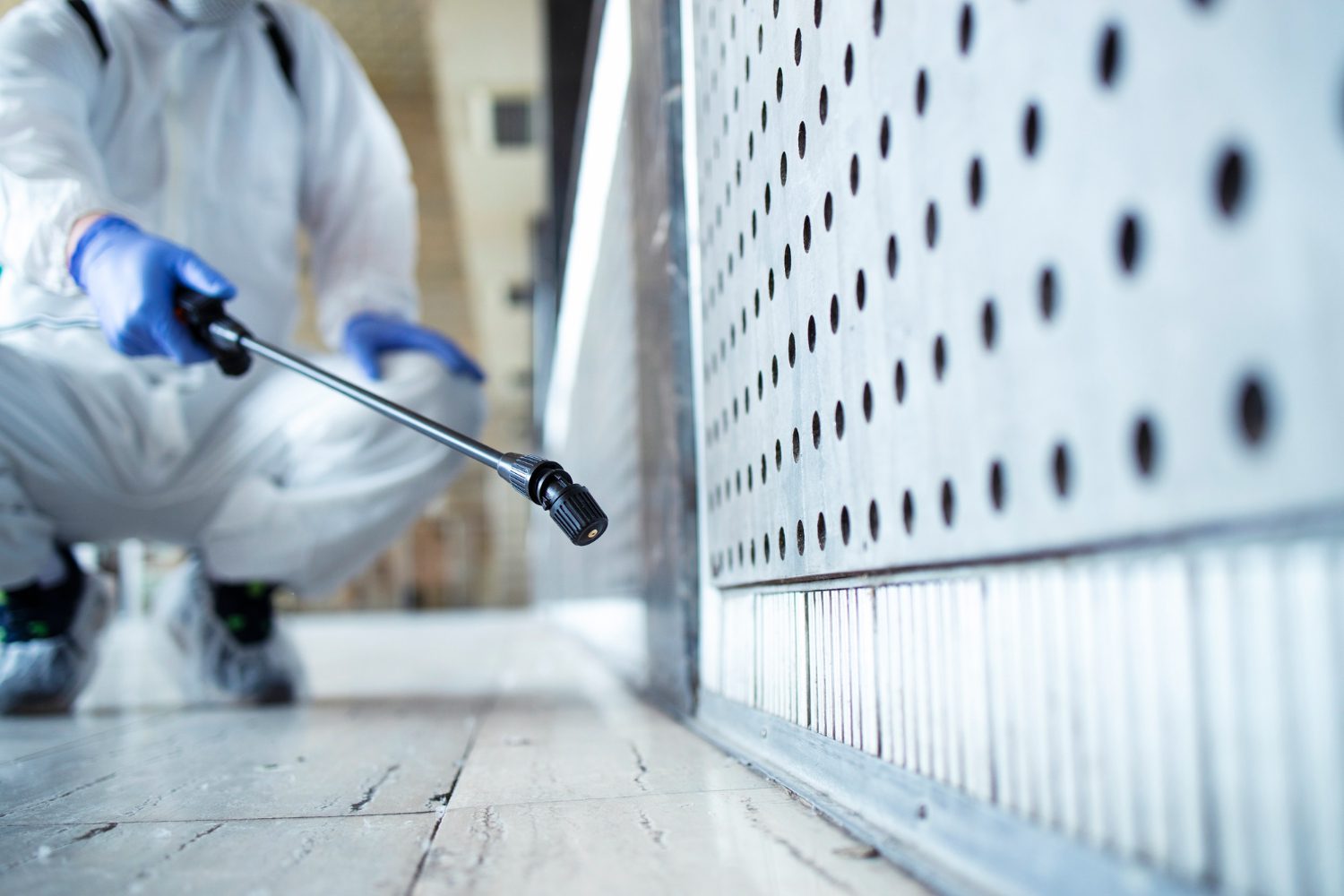 Bed Bug Control & Removal Service Bed Bug Control & Removal Service